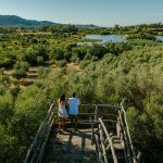 Bird Watching Experience