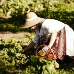 Carmo's Kitchen Garden
