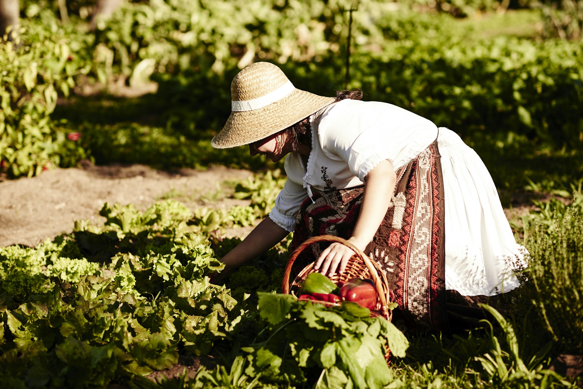 Carmo's Kitchen Garden