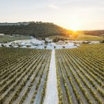 Château Hospitalet Wine Resort, Beach & Spa