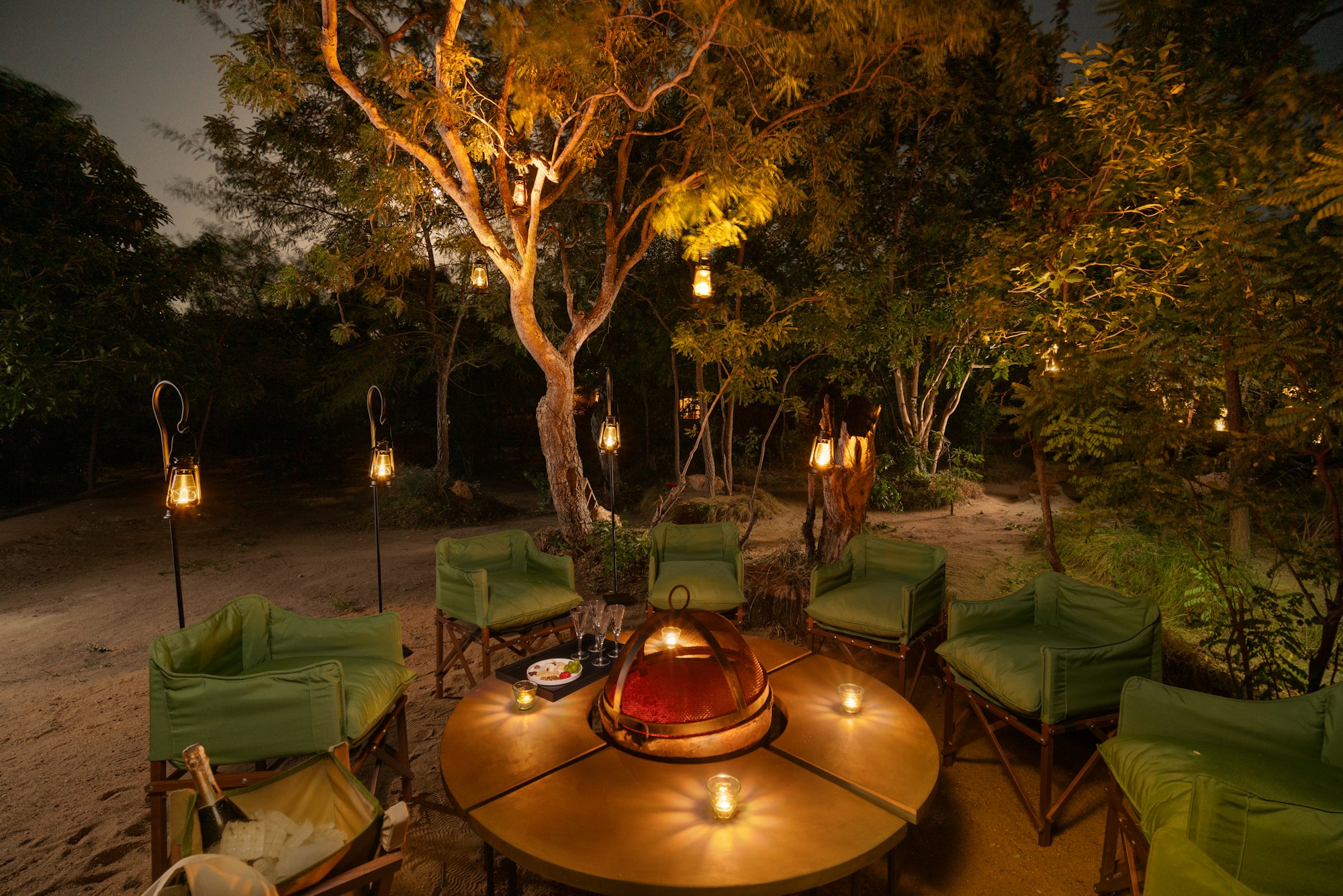 Outdoor Dining Experience