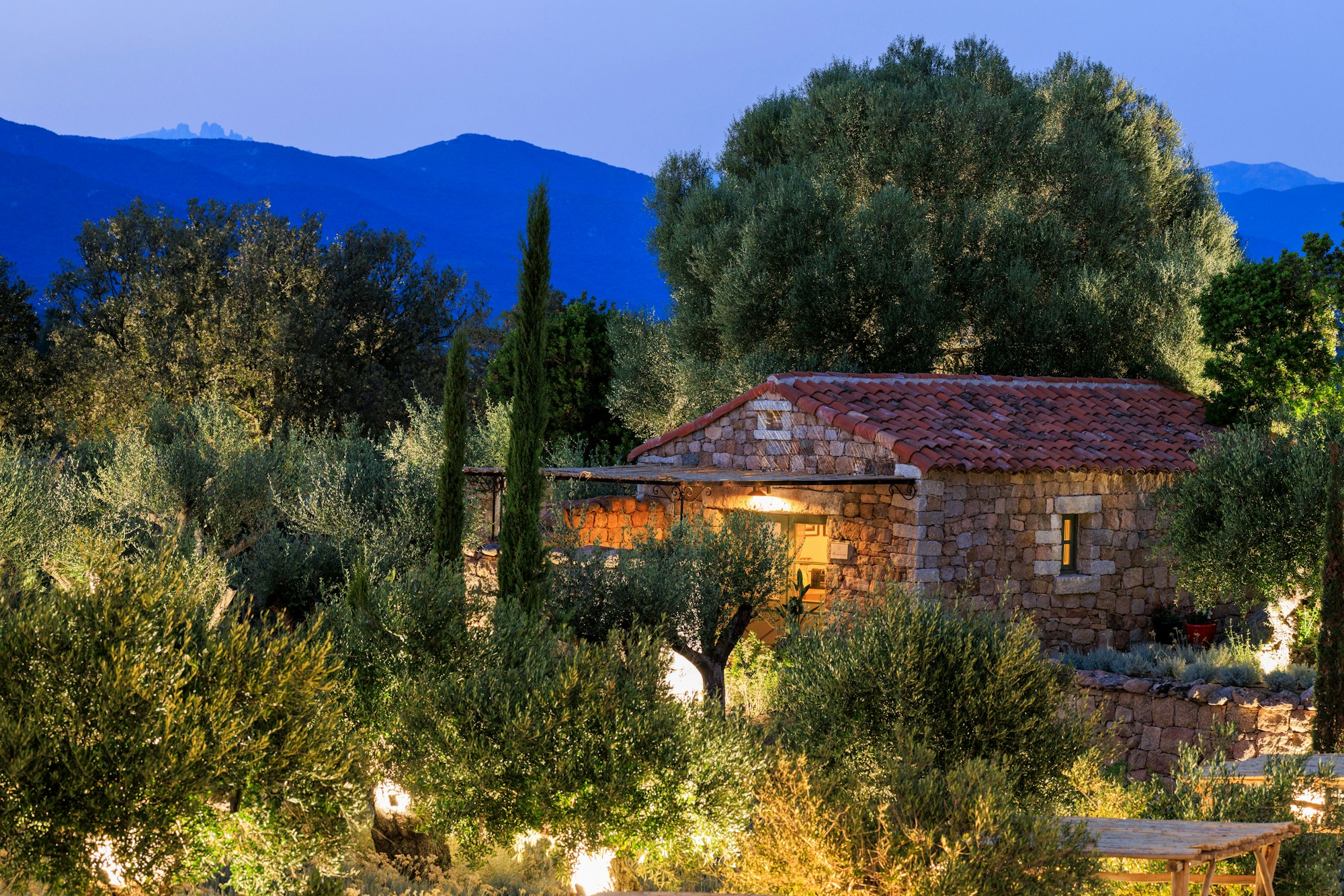 Mandarina - Exterior Night