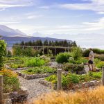 Kitchen Gardens