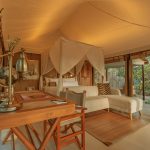 Beach Pool Tent - Bedroom