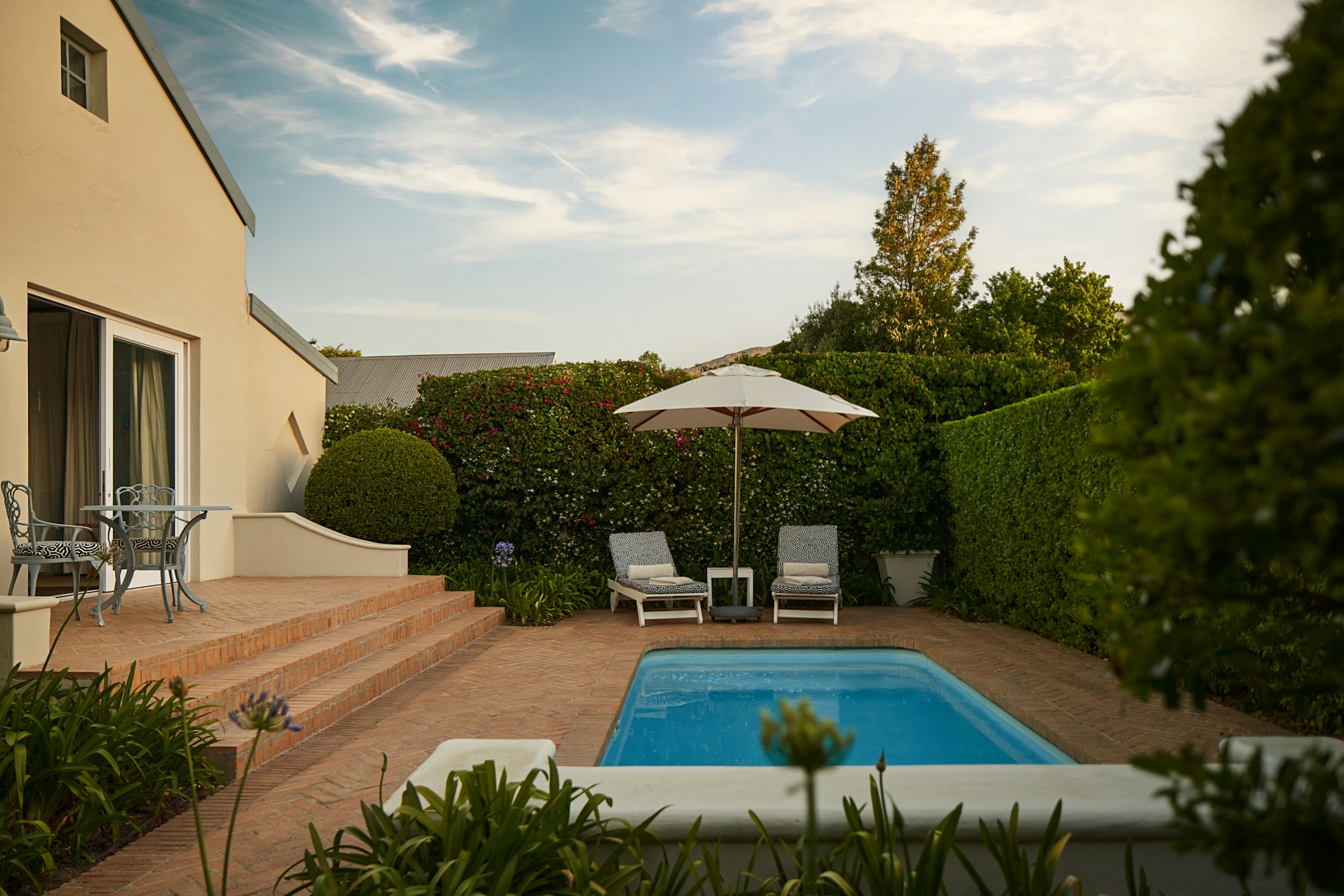 Pool Suite - Patio & Pool