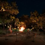 Outdoor Dining Experience