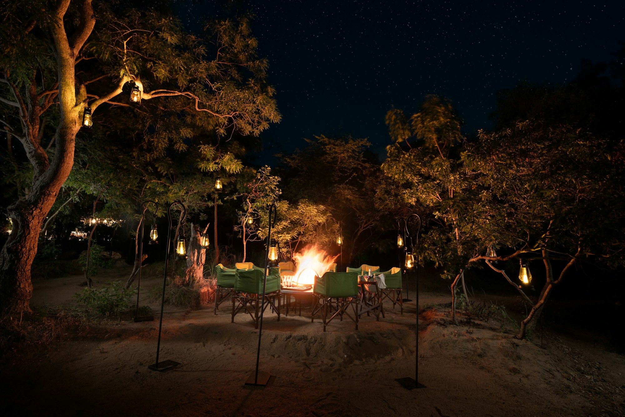 Outdoor Dining Experience