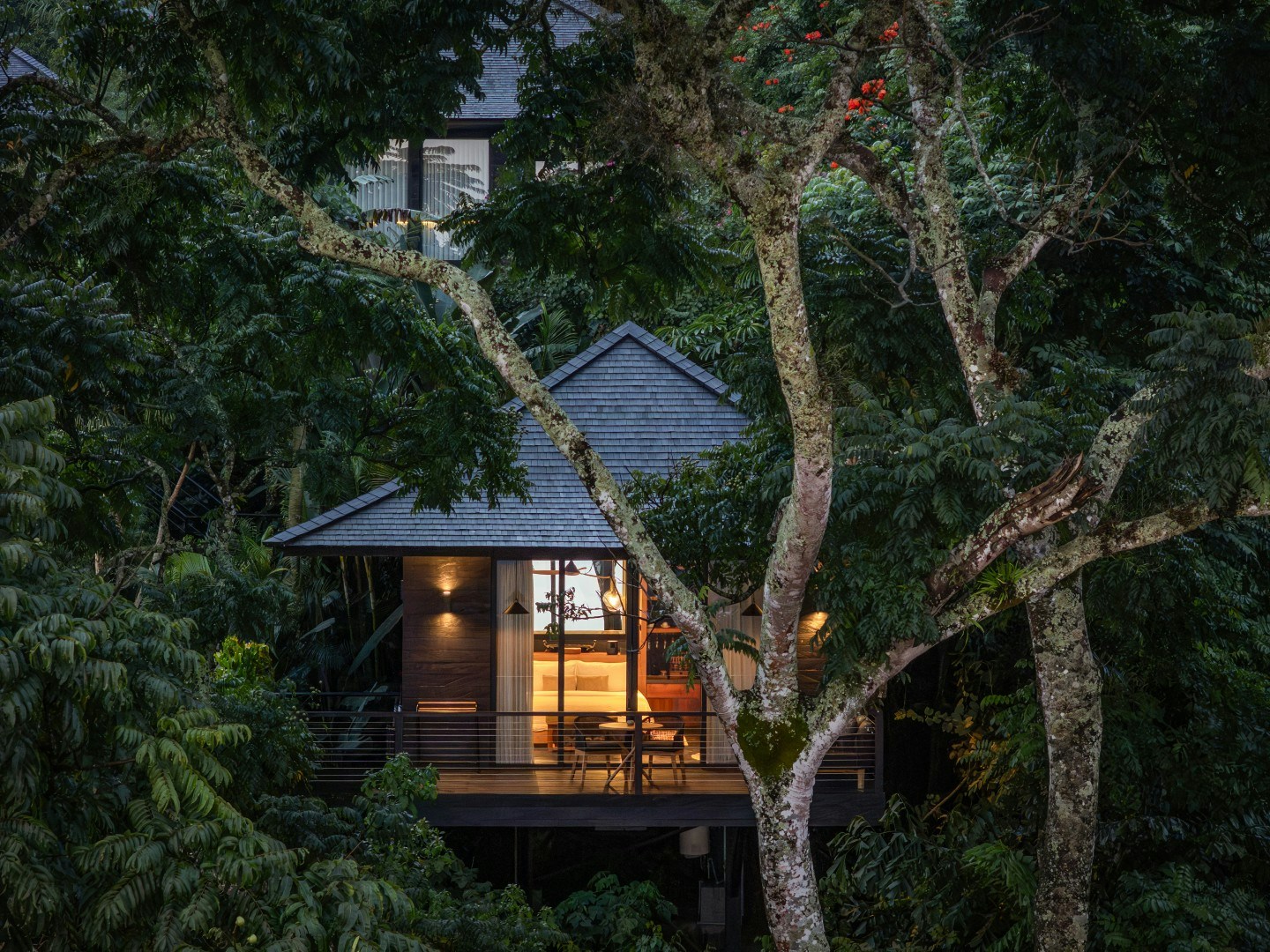 Premium Studio Cabin - Exterior