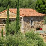 Mandarina - Exterior