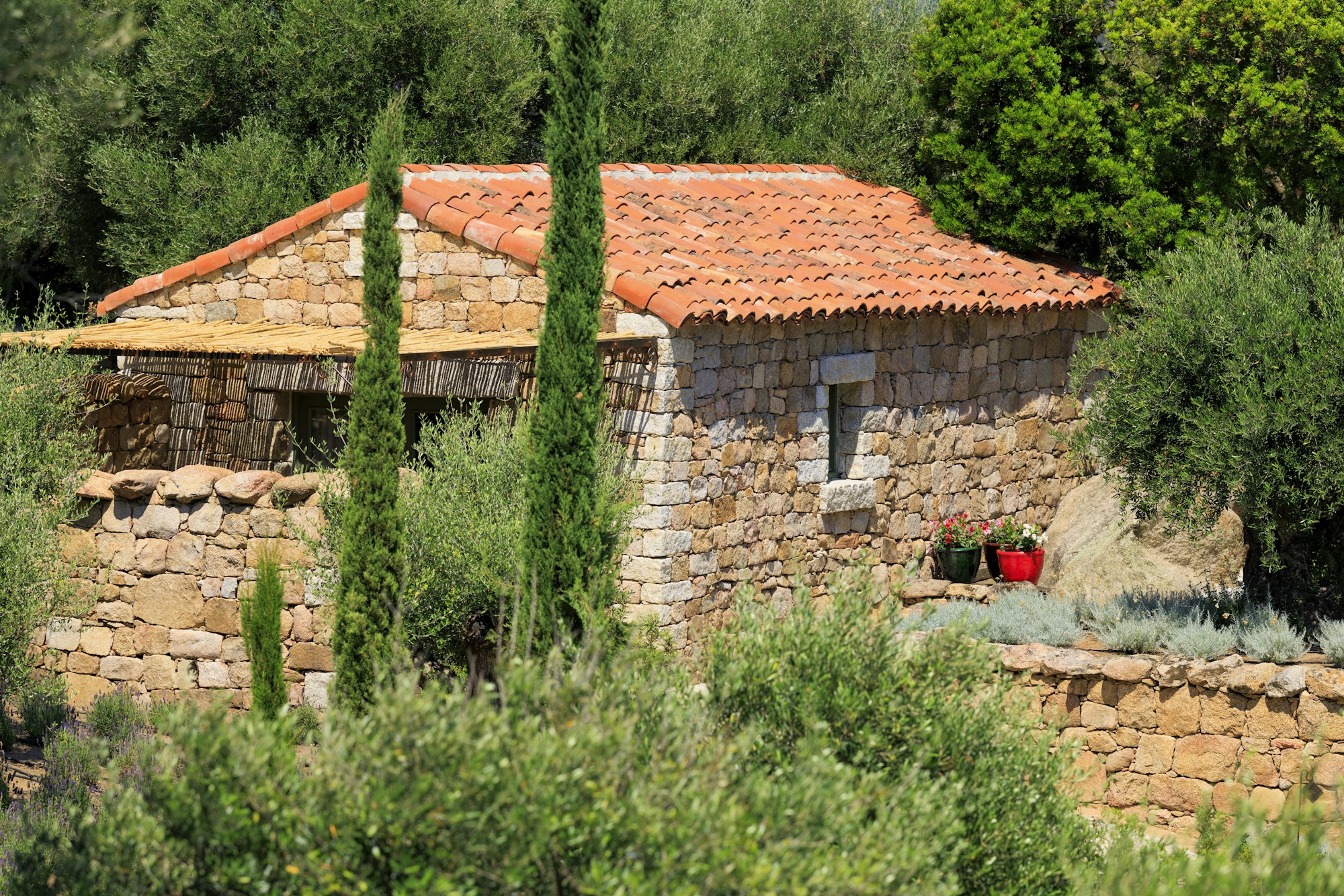 Mandarina - Exterior