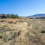 Horse Riding Activity