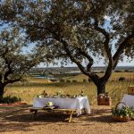Picnic Experience