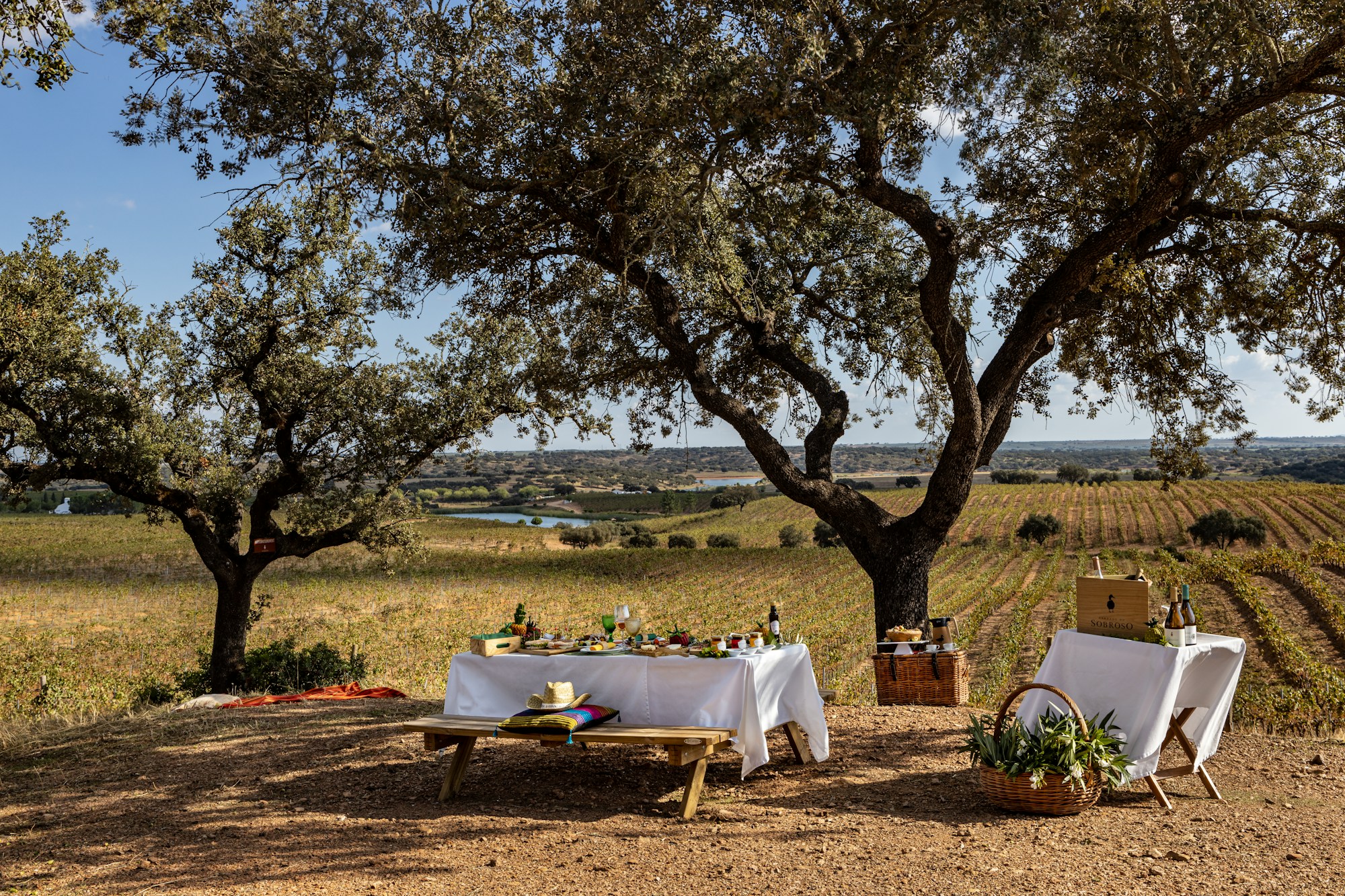Picnic Experience