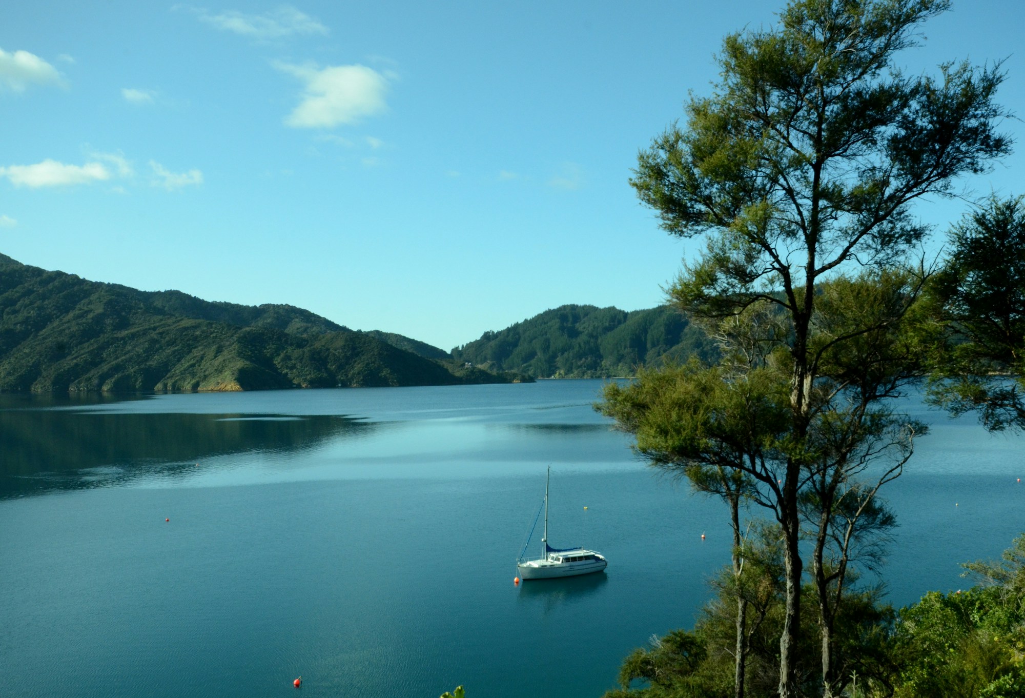 Kereru Suite View
