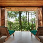 The Forest Suite