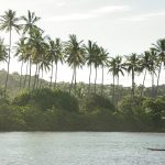 The Barracuda Journeys - Tijuipe's River