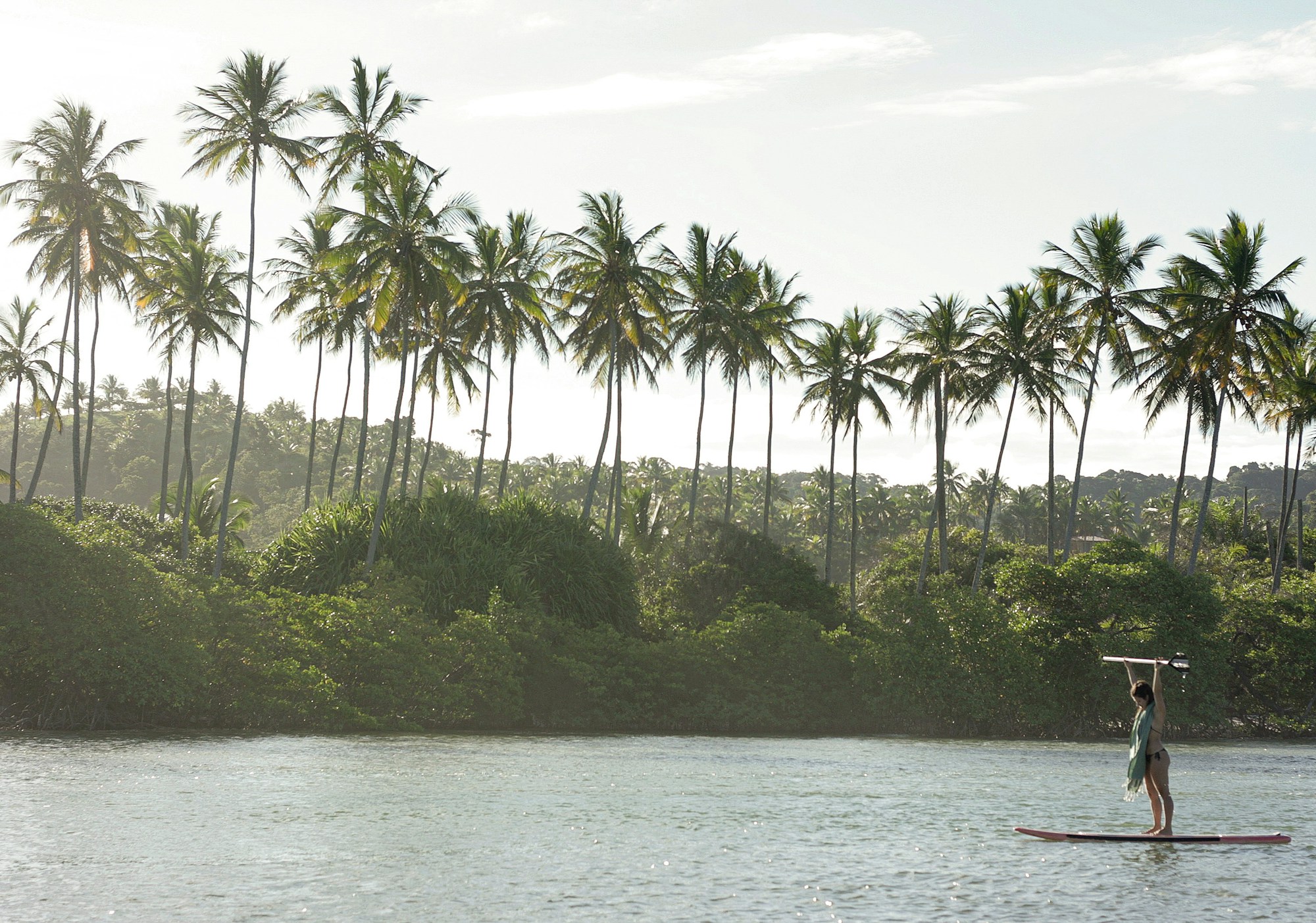 The Barracuda Journeys - Tijuipe's River