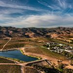 Aereal Estate View