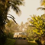 Transport