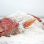 The Salty Snapper
