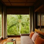 Room Jungle view