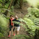 Bush Walking