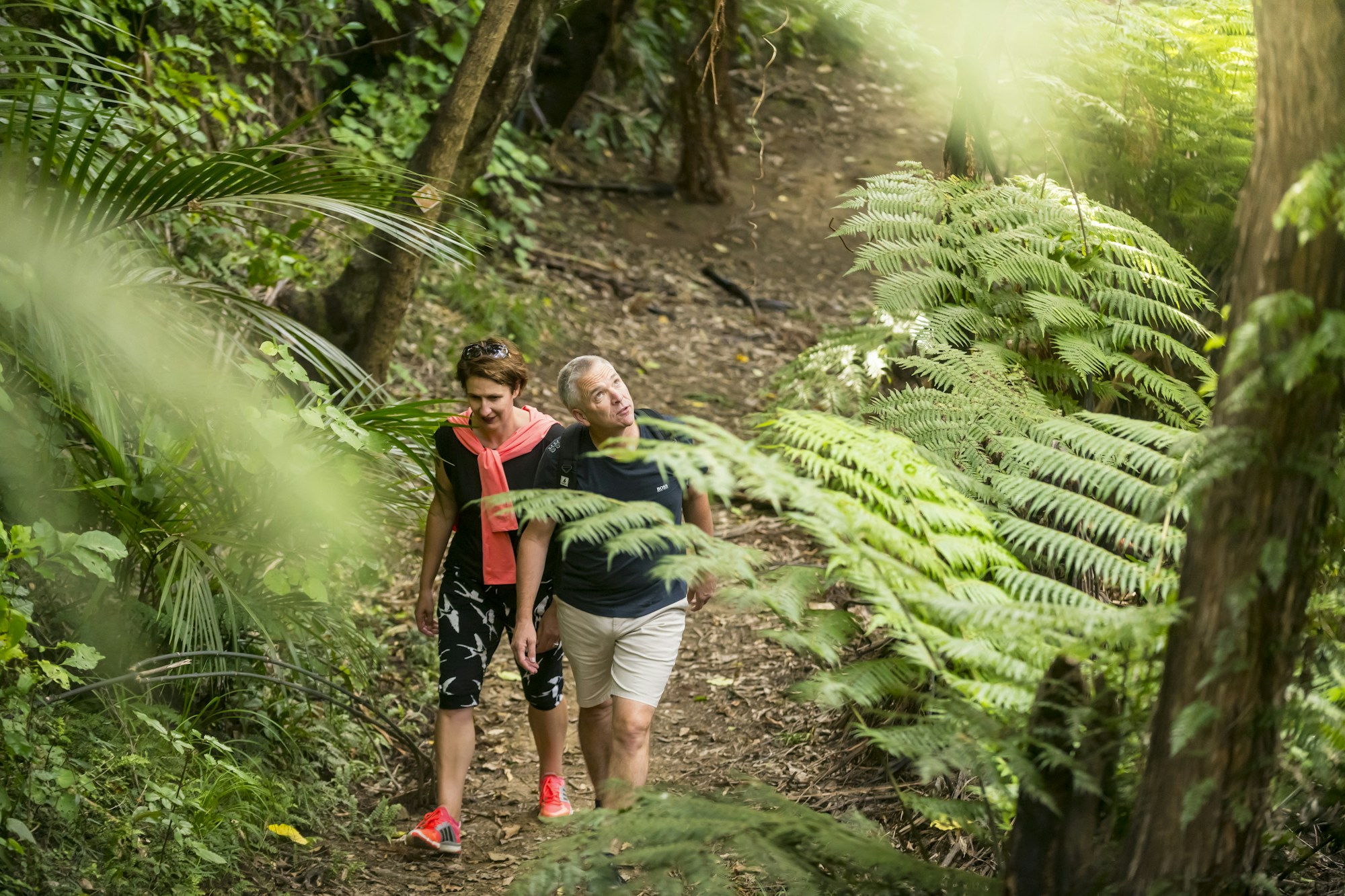 Bush Walking