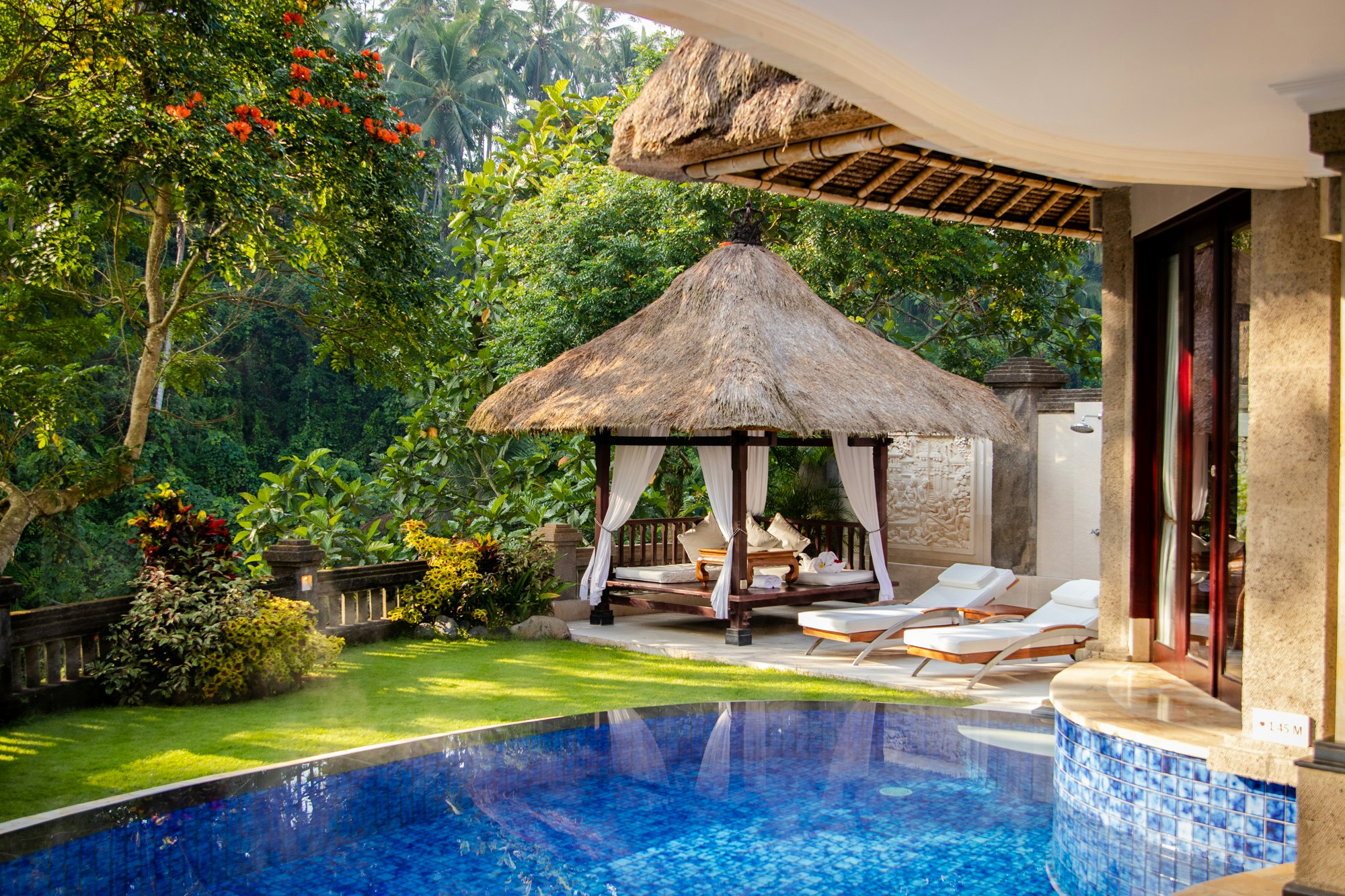 Viceroy Pool Villa - Pool