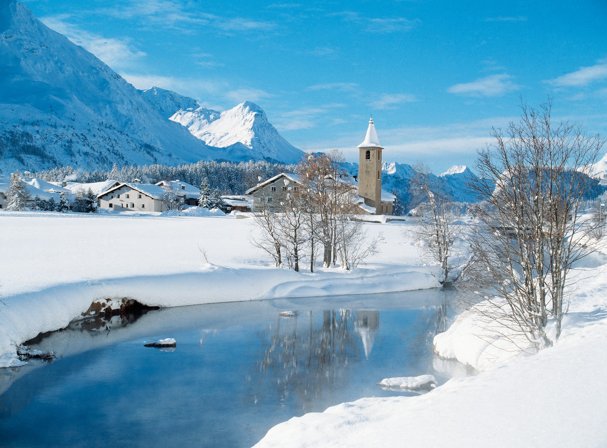 Winter Wonderland