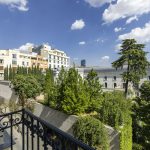 Palace View