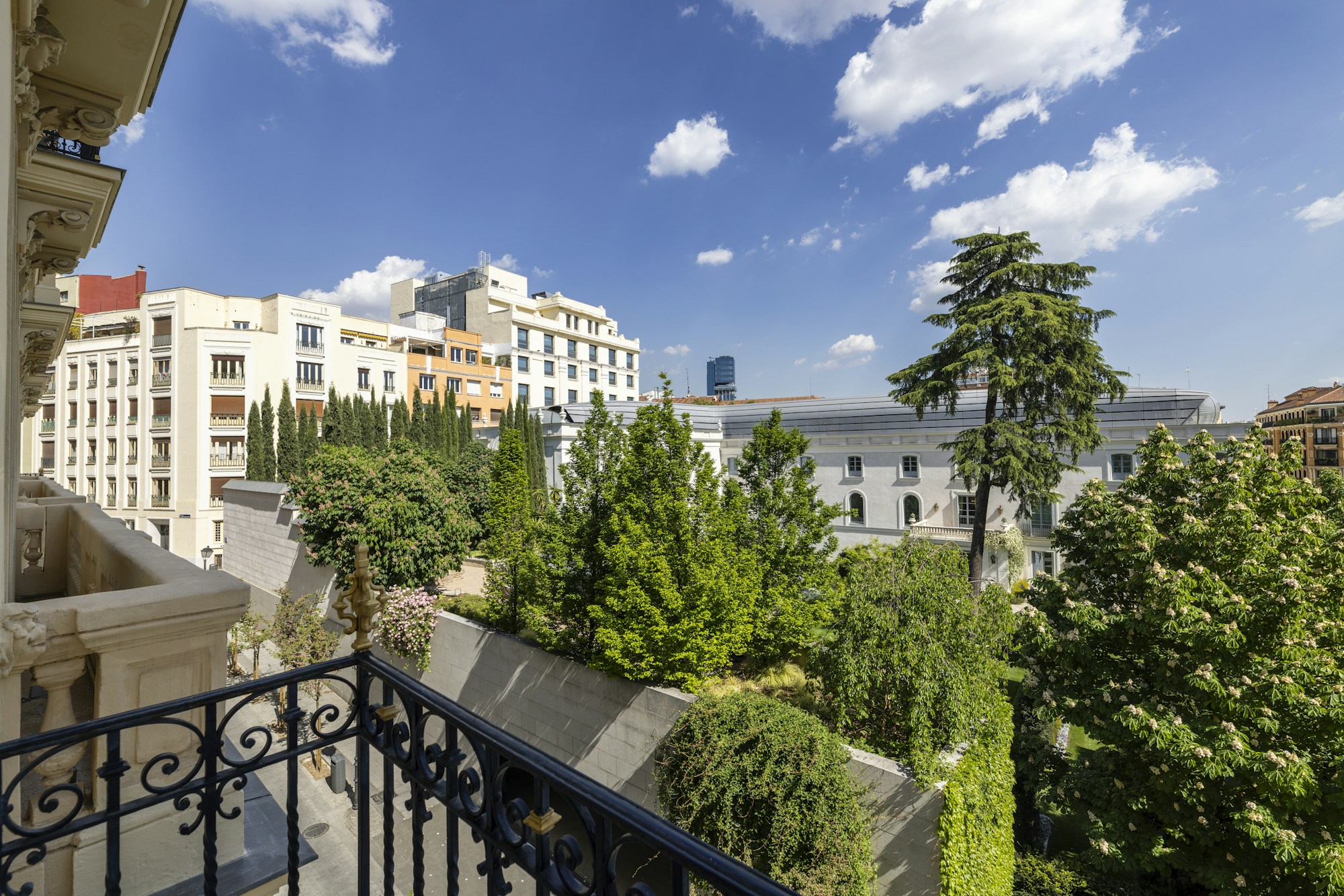 Palace View