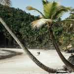 The Barracuda Journeys - Engenhoca Beach