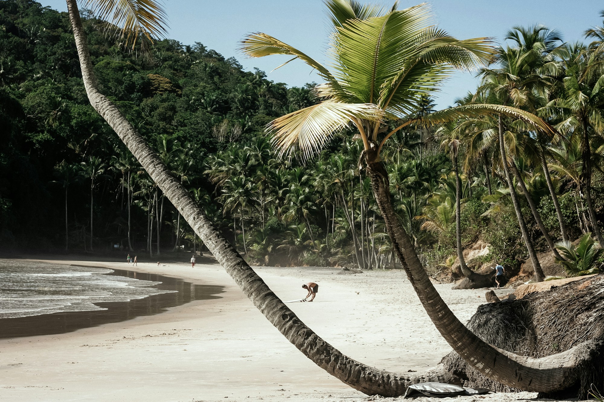 The Barracuda Journeys - Engenhoca Beach