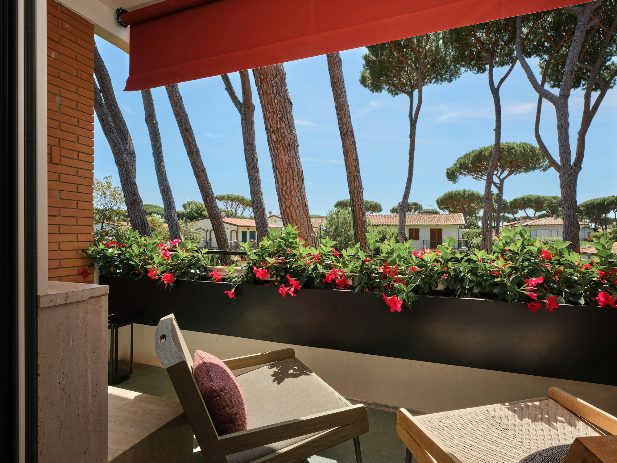 Deluxe Room with Terrace - Terrace