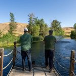 Fly Casting in the Trout Pond