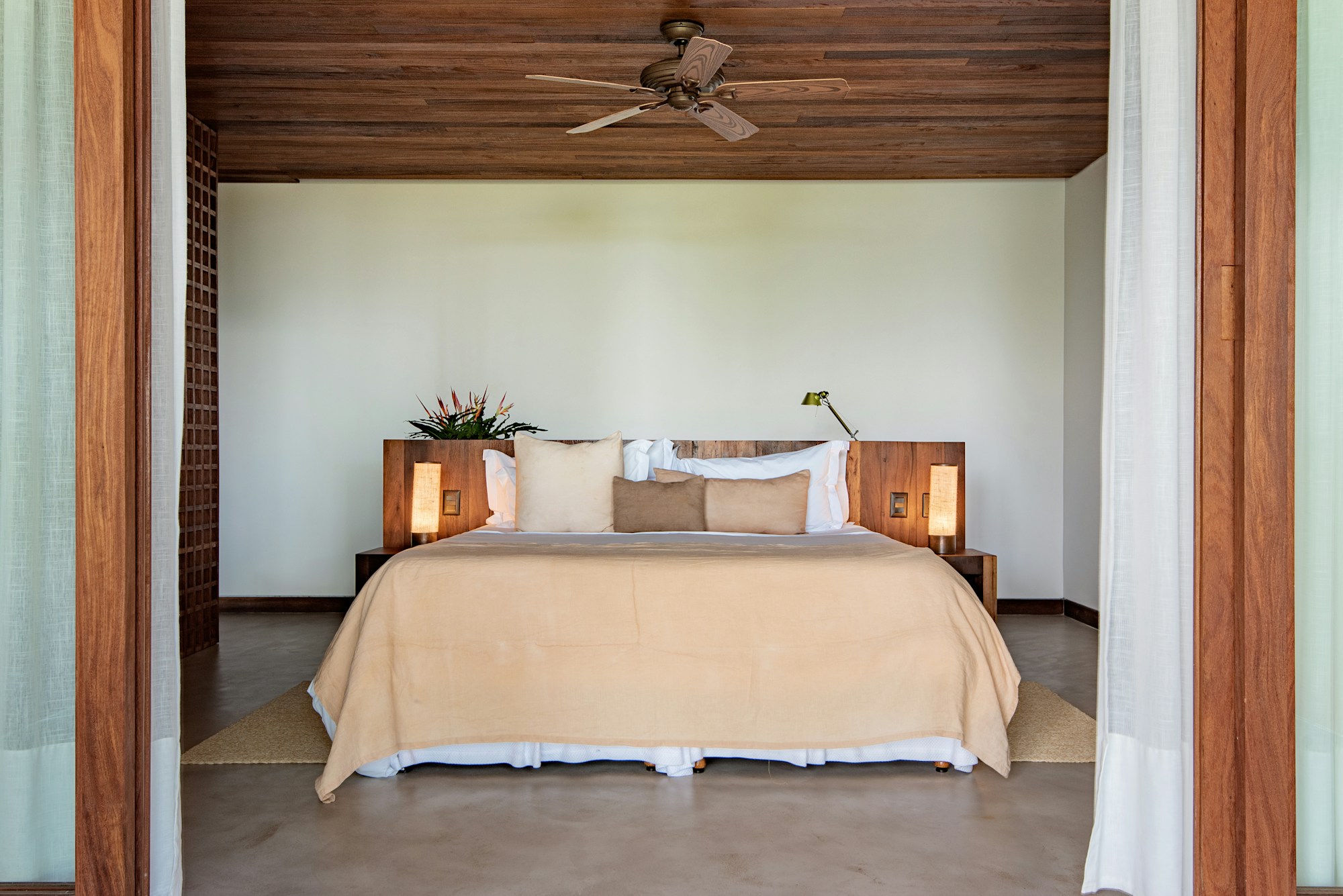 The Forest Suite