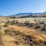 Riding on the Ranch