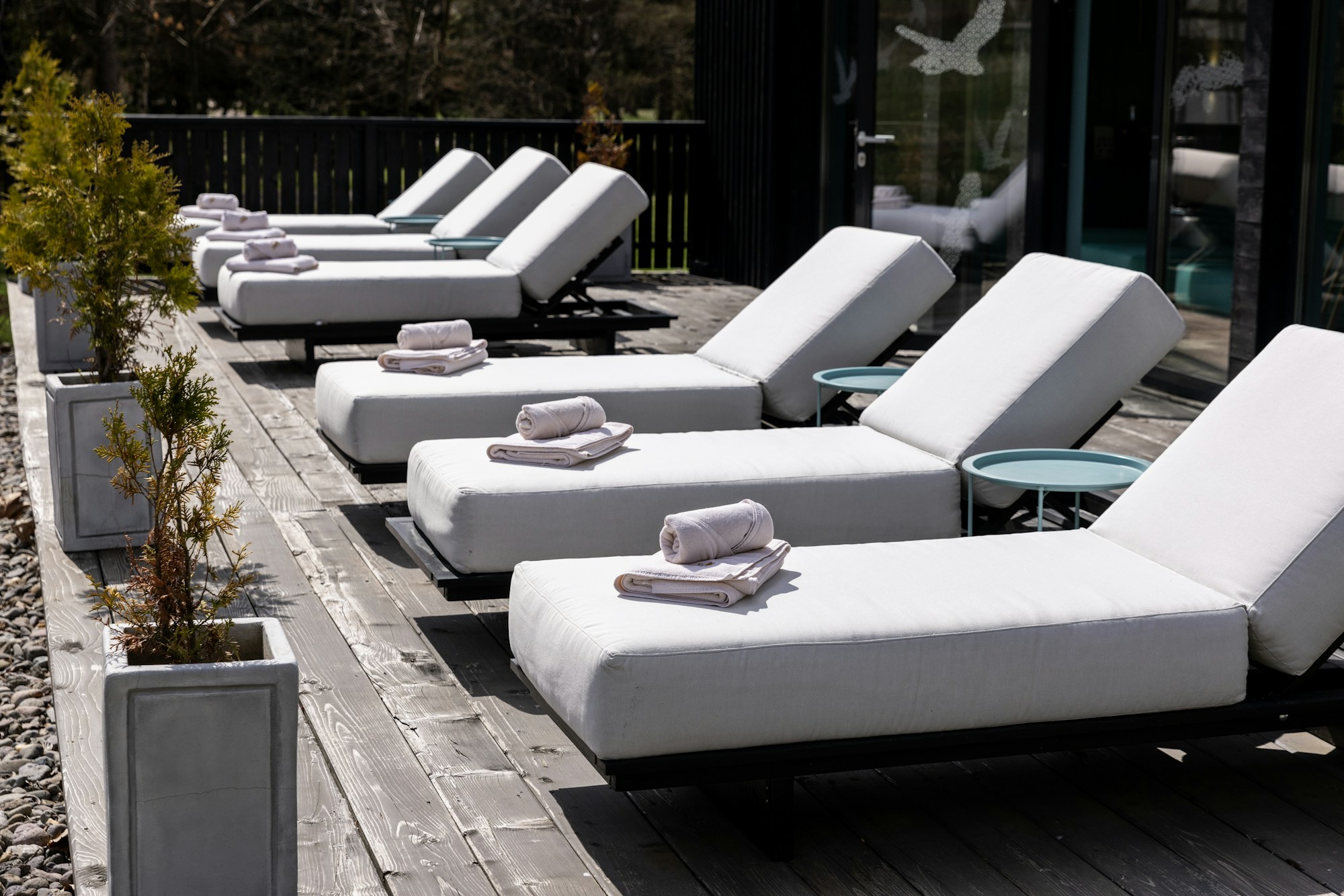 Wellness Area