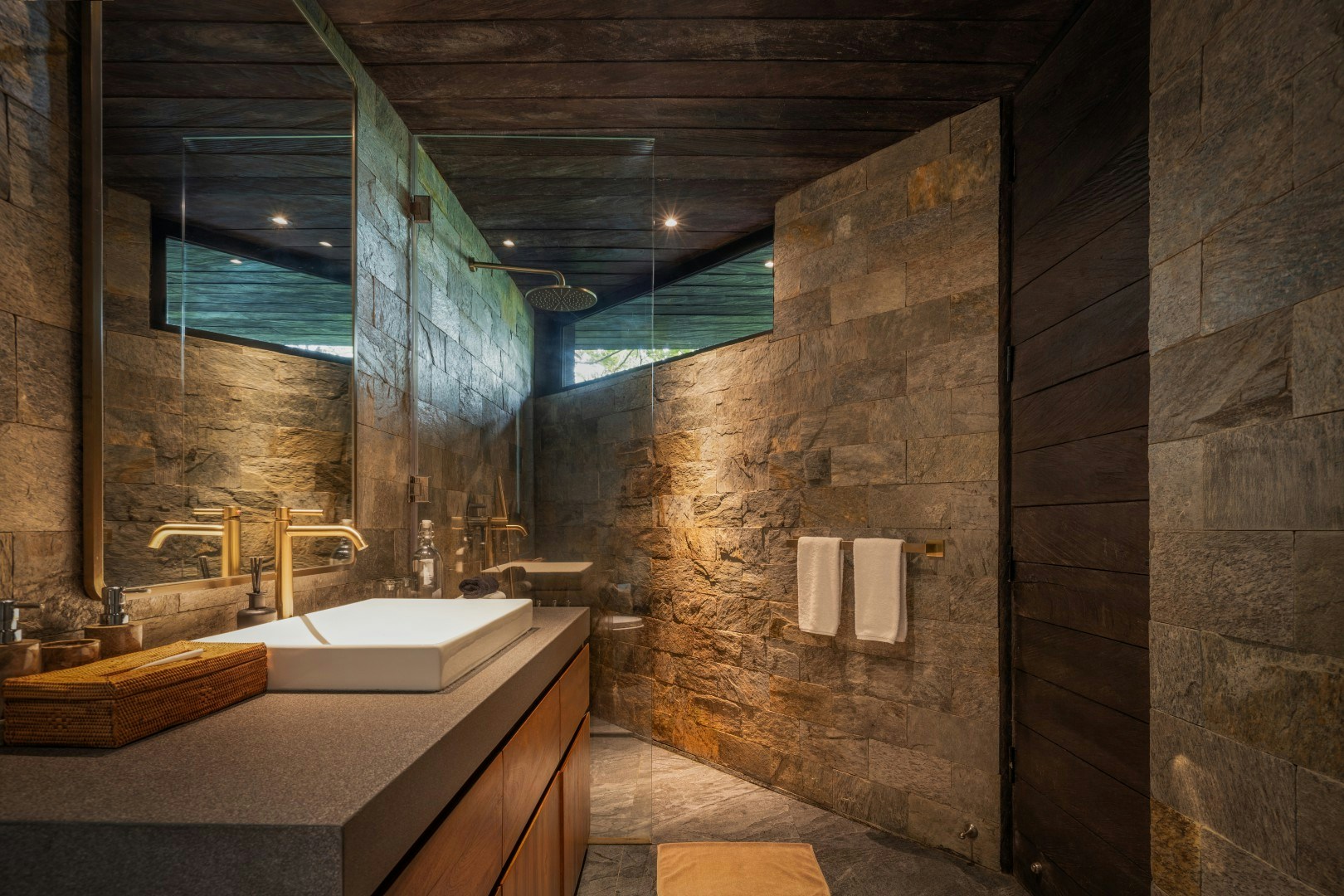 Premium 2-Bedroom Suite Cabin - Bathroom