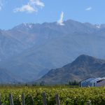 Winery