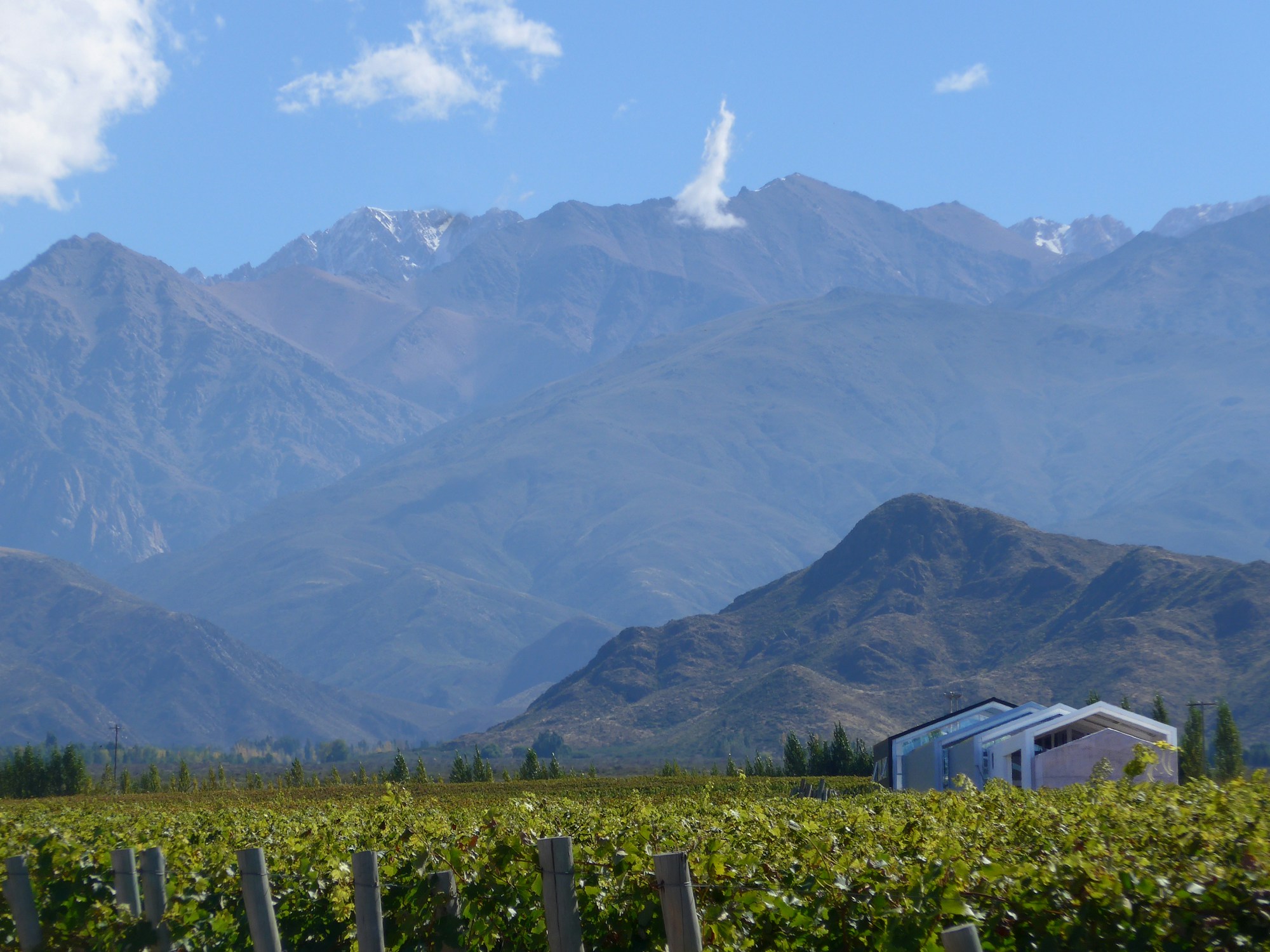 Winery