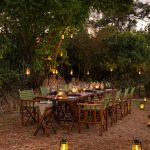 Outdoor Dining Experience