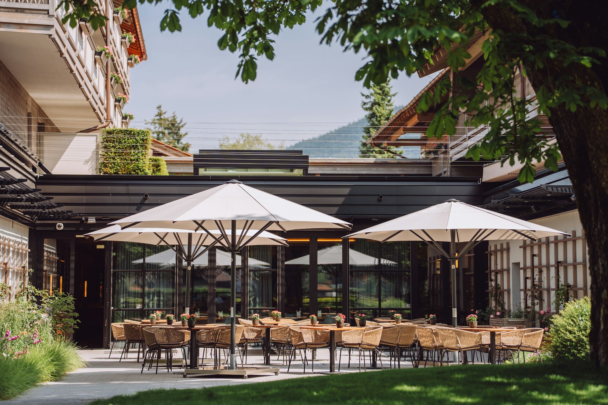 Kaminrestaurant - Terrace