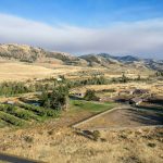 Orchards and Horse Barn