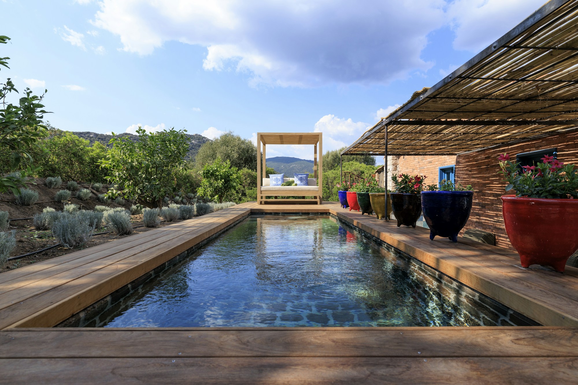 Amandula - Pool