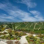 Garden with Vineyard View