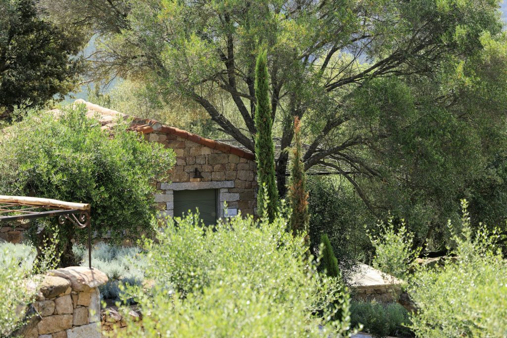 Clementina - Exterior