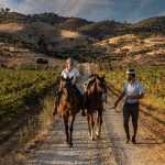 Horseback Riding